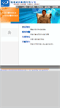 Mobile Screenshot of leader.yoursun.com.tw